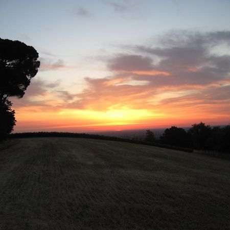 Tenuta Olmatello Quartolo Buitenkant foto