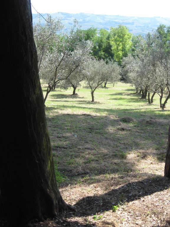 Tenuta Olmatello Quartolo Buitenkant foto
