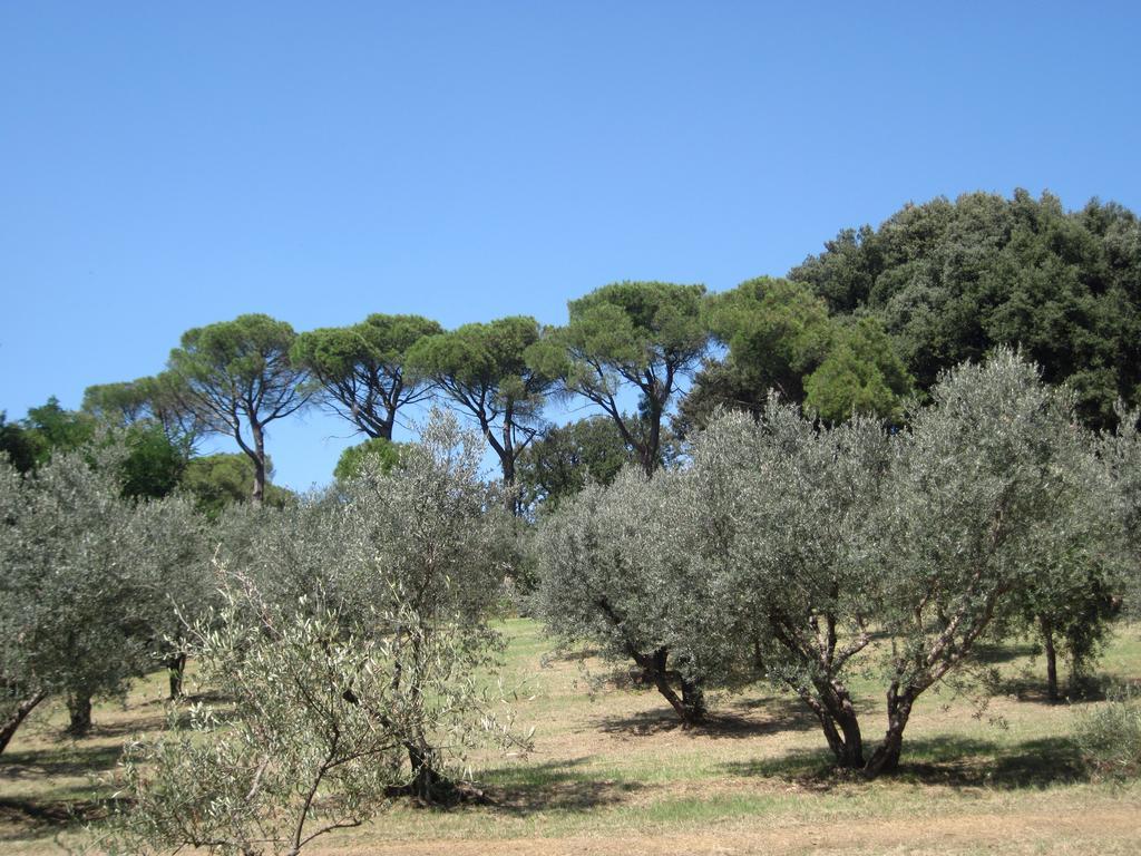 Tenuta Olmatello Quartolo Buitenkant foto