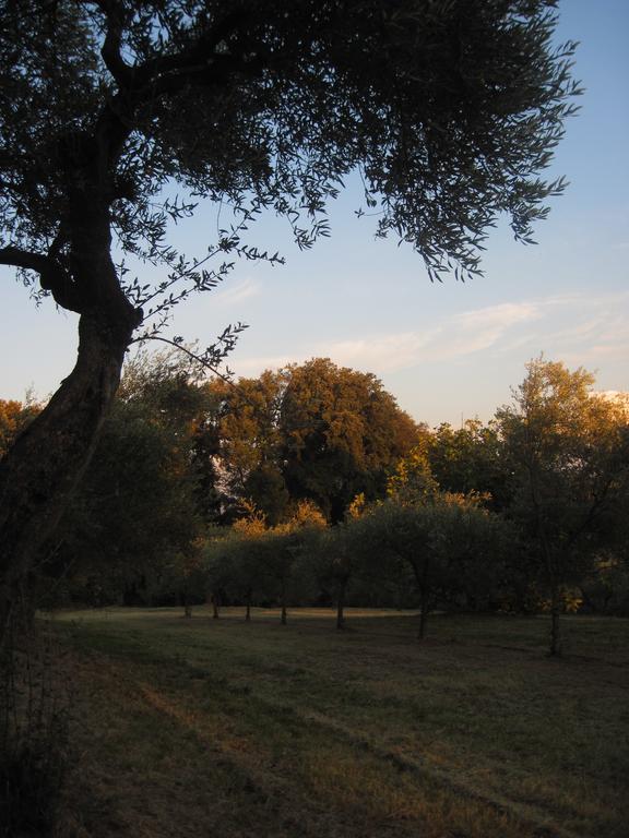 Tenuta Olmatello Quartolo Buitenkant foto