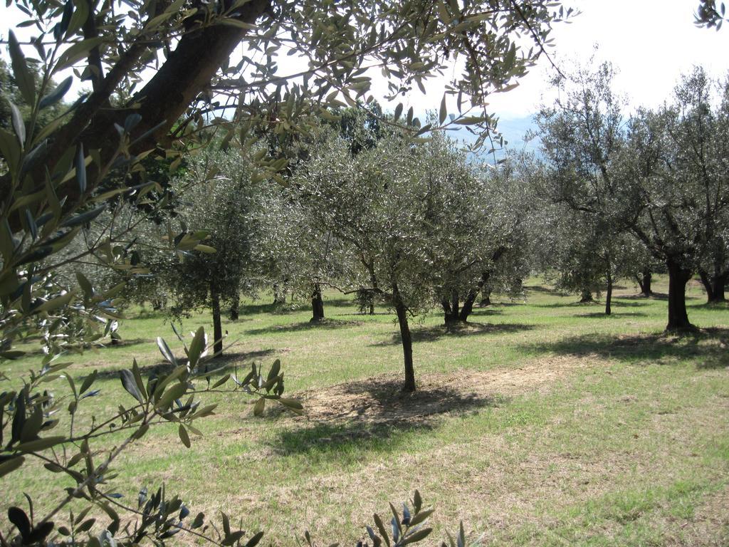 Tenuta Olmatello Quartolo Buitenkant foto