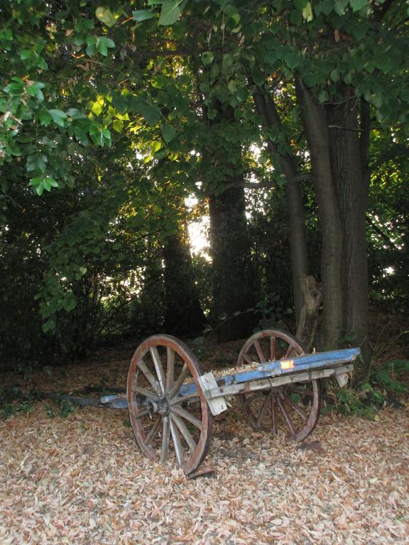 Tenuta Olmatello Quartolo Buitenkant foto