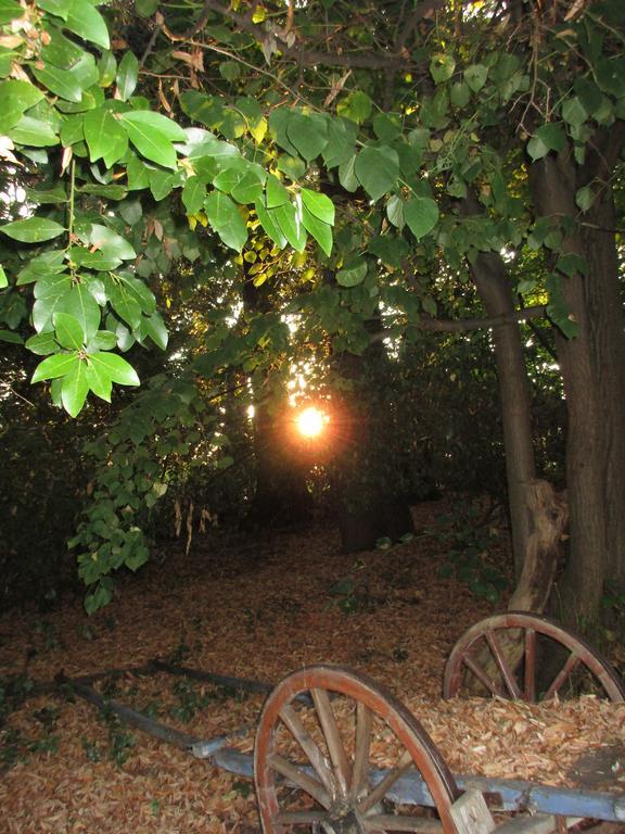 Tenuta Olmatello Quartolo Buitenkant foto