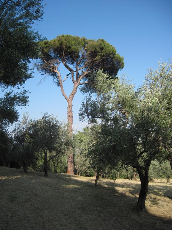 Tenuta Olmatello Quartolo Buitenkant foto