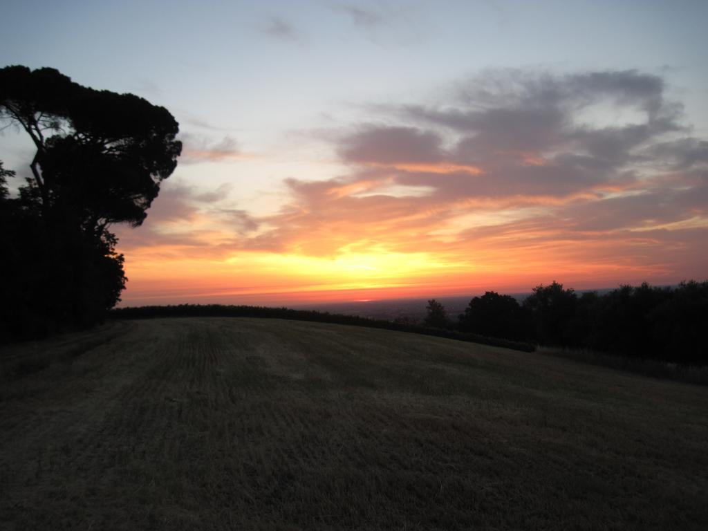 Tenuta Olmatello Quartolo Buitenkant foto